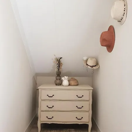 Retro Chic Wellness Met Hottub & Sauna * Ewijk