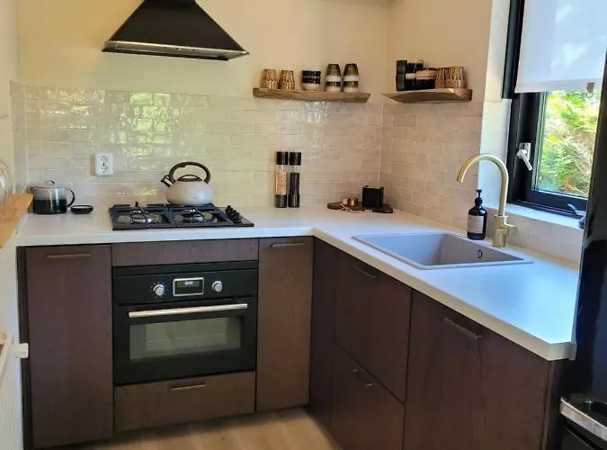 Retro Chic Wellness Met Hottub & Sauna Ewijk